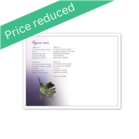 RTS 5320-S Handprint Poem - Small (Spanish)