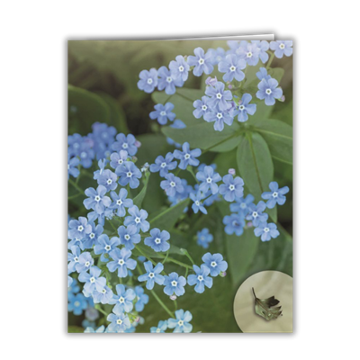 RTS 2820 Bereavement Folder (Full Size) - Blue Forget-Me-Not