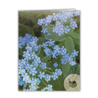 RTS 2820 Bereavement Folder (Full Size) - Blue Forget-Me-Not