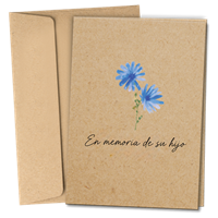 RTS 6380-SM Sympathy Card - In Remembrance Child (masculine)