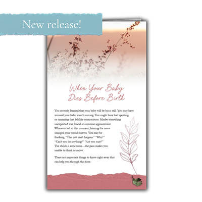 RTS 3329-E When Your Baby Dies Before Birth