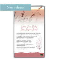 RTS 3329-E When Your Baby Dies Before Birth