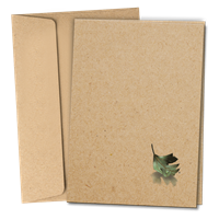 RTS 6360-S Sympathy Card - Leaf & Teardrop