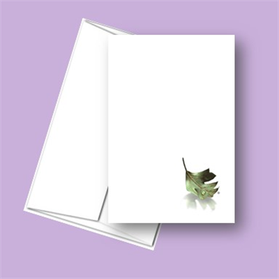 RTS 5301 Leaf and Teardrop Note Card