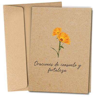 RTS 6530-S Sympathy Card (Spiritual) - Prayers for Comfort
