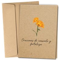 RTS 6530-S Sympathy Card (Spiritual) - Prayers for Comfort