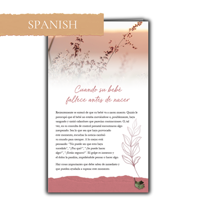 RTS 3329-S When Your Baby Dies Before Birth (Spanish)