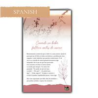 RTS 3329-S When Your Baby Dies Before Birth (Spanish)