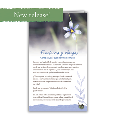 RTS 3311-S Family and Friends: When a Child Dies