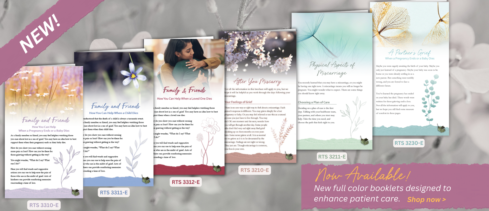 6 New Brochures