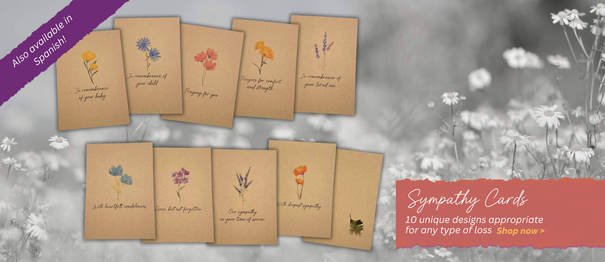 Sympathy Cards